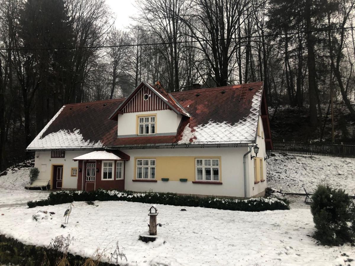 Adelle Cottage In Krkonose National Park Rudnik Екстер'єр фото
