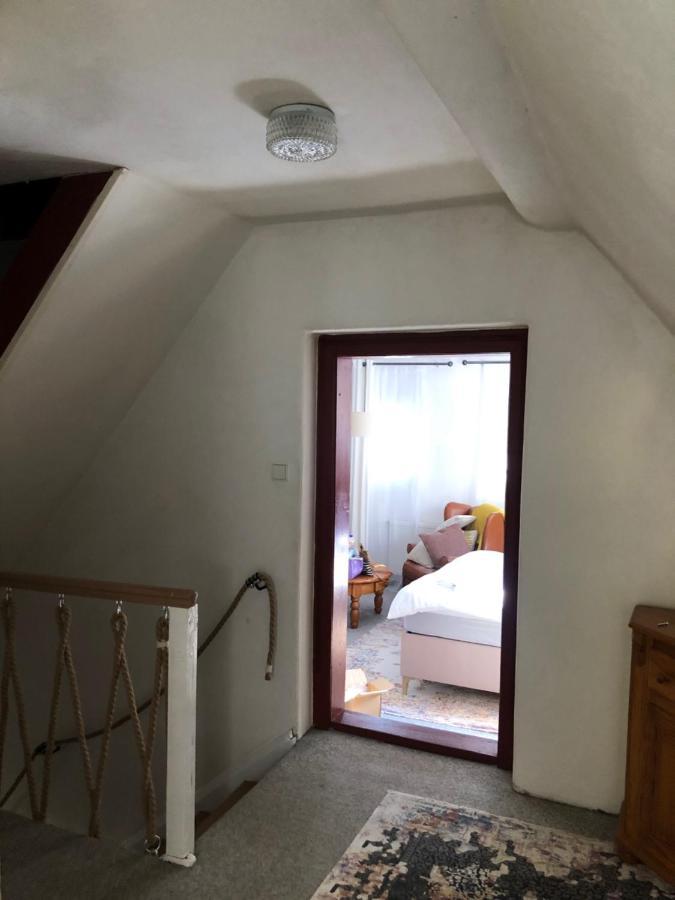 Adelle Cottage In Krkonose National Park Rudnik Екстер'єр фото